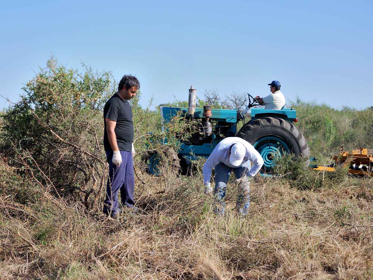 Desmalezado para preparar el terreno de la pista