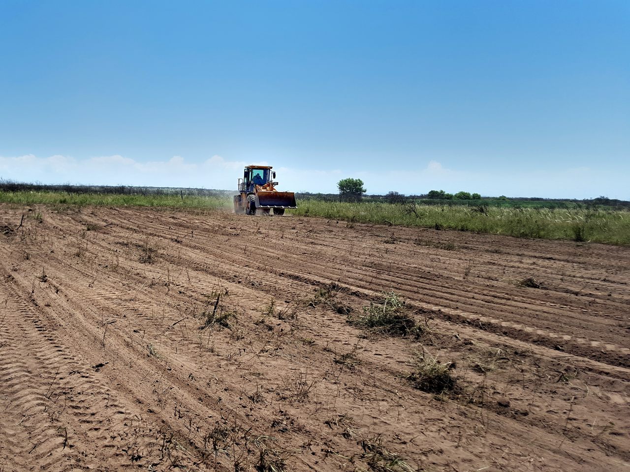Primer corte de pasto en la pista