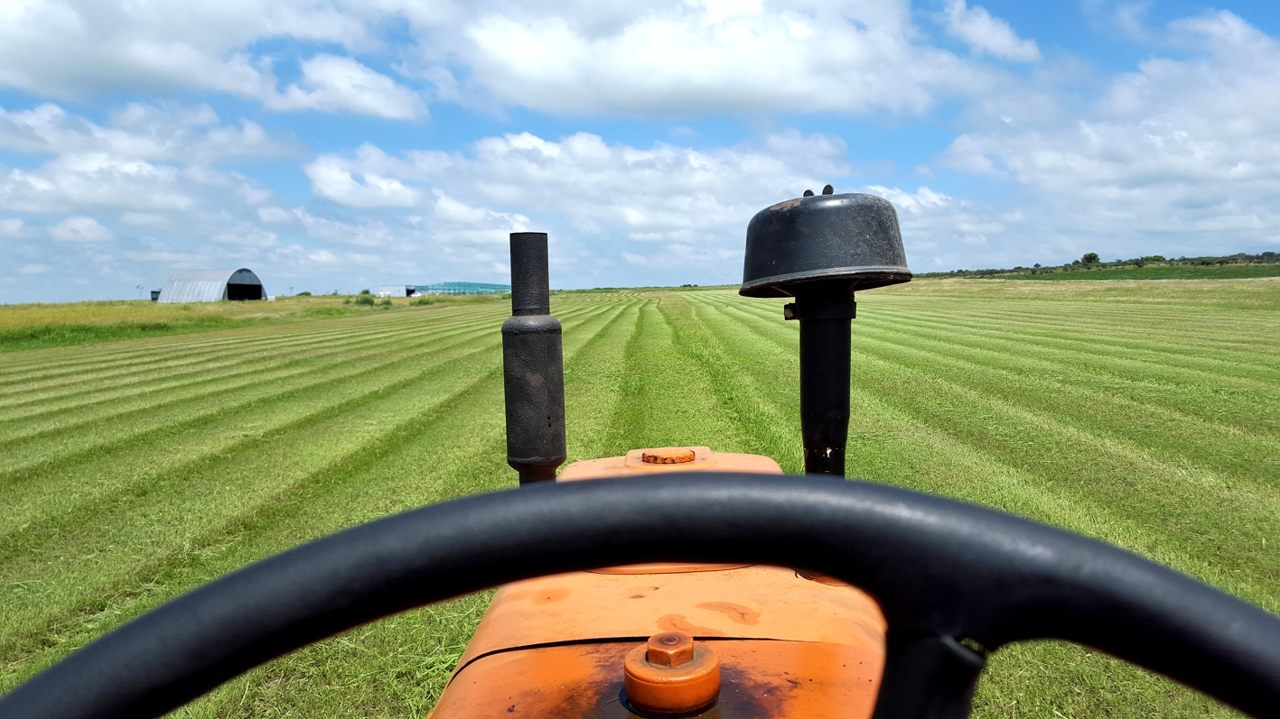 Pista tapizada de pasto en Despeñaderos