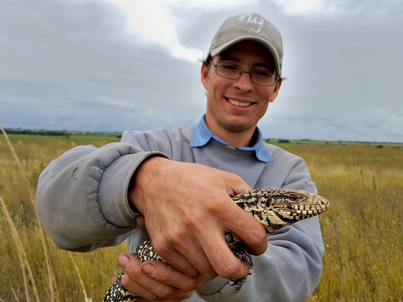 Lagarto overo rescatado y trasladado a zona segura